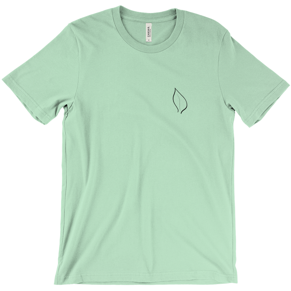 Apparel-DTG-Tshirt-Bella-3001-M-Mint-Mens-CFCB-20260204100801102
