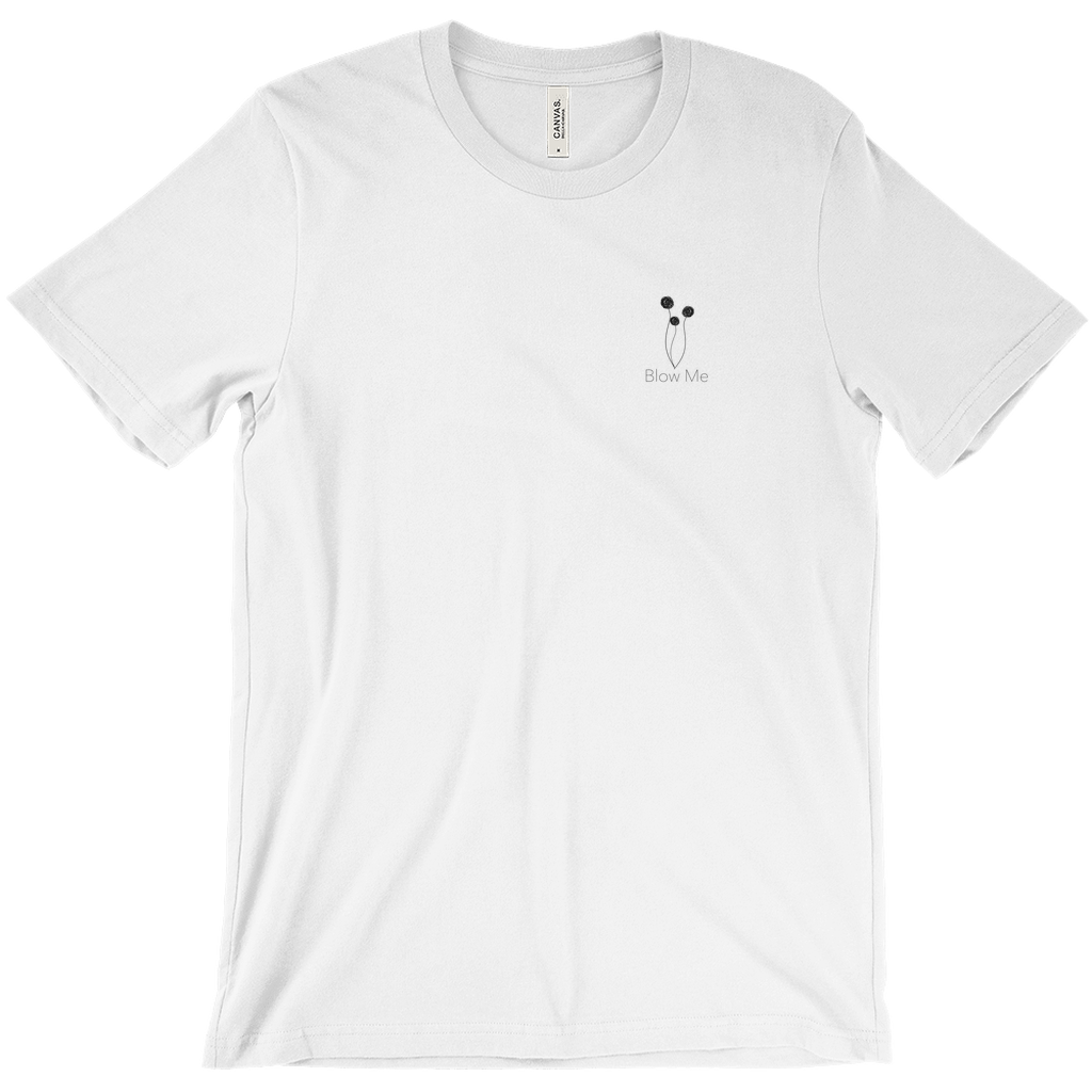 Apparel-DTG-TShirt-Bella-3001-XS-White-Mens-CF-20260204102654382