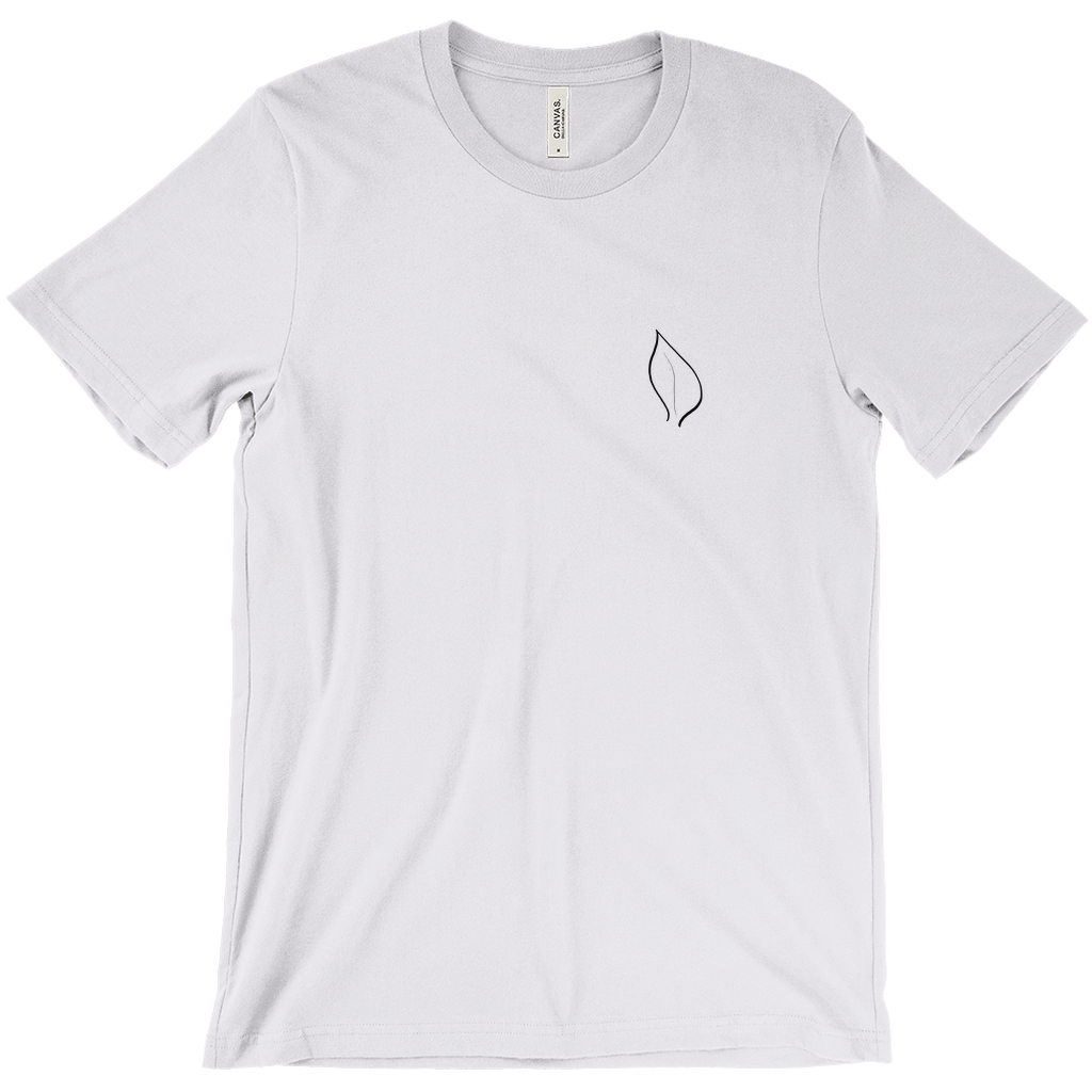 Apparel-DTG-TShirt-Bella-3001-XL-AshGrey-Mens-CFCB-2026020410080199