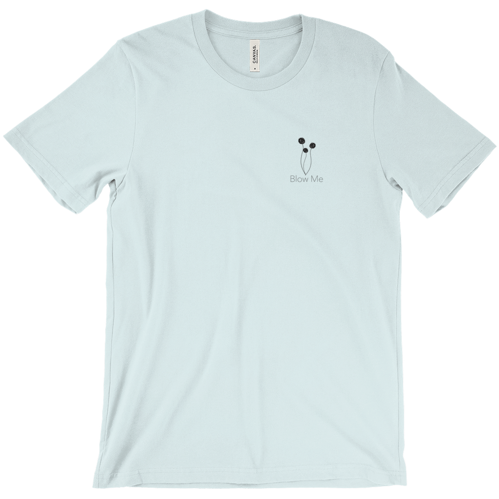 Apparel-DTG-Tshirt-Bella-3001-L-IceBlue-Mens-CF-20260204102654378
